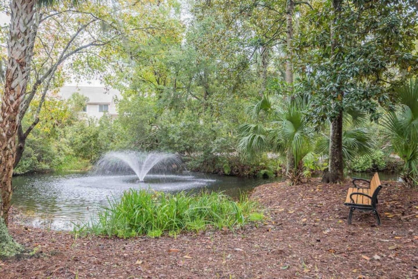 Forest Beach Condo Walk To Coligny, Pool, Tennis Hilton Head Island Ngoại thất bức ảnh